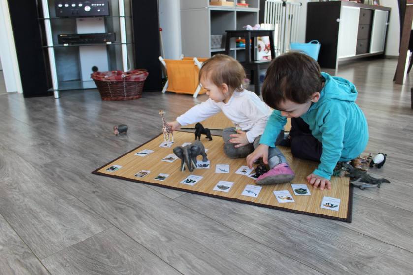 11187792_680315718761367_7347480875521579249_o