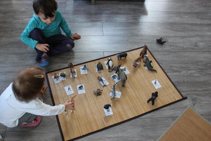 1397010_680315665428039_2065796775317036082_o