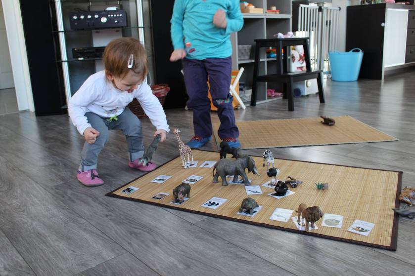 1397010_680315738761365_1933854701134354986_o