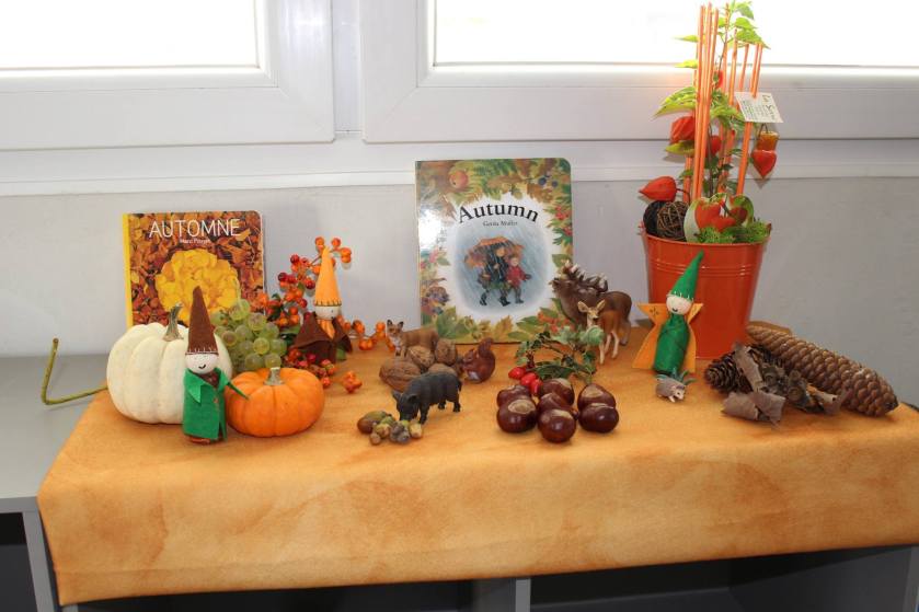 12030492_749515851841353_5576355916487039195_o