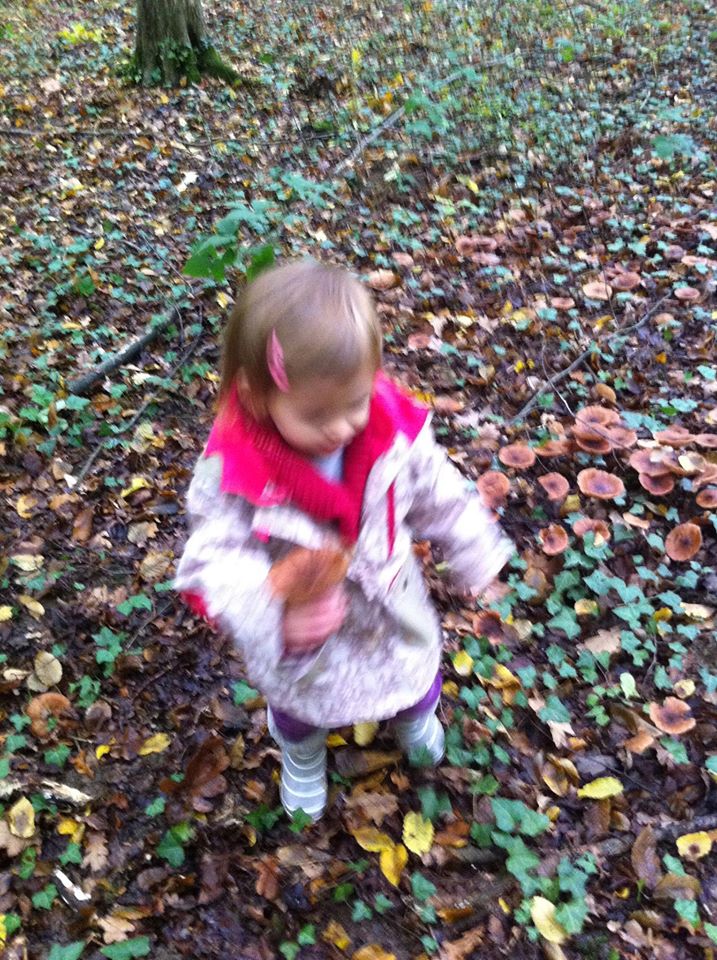 885933_762882550504683_3676199449575032085_o