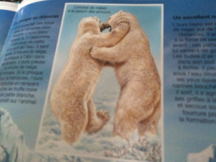 12973574_847974521995485_2591369018351927985_o