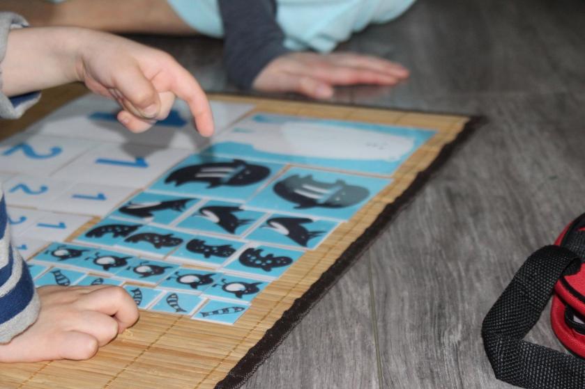 12977084_847977545328516_8616346544272165830_o