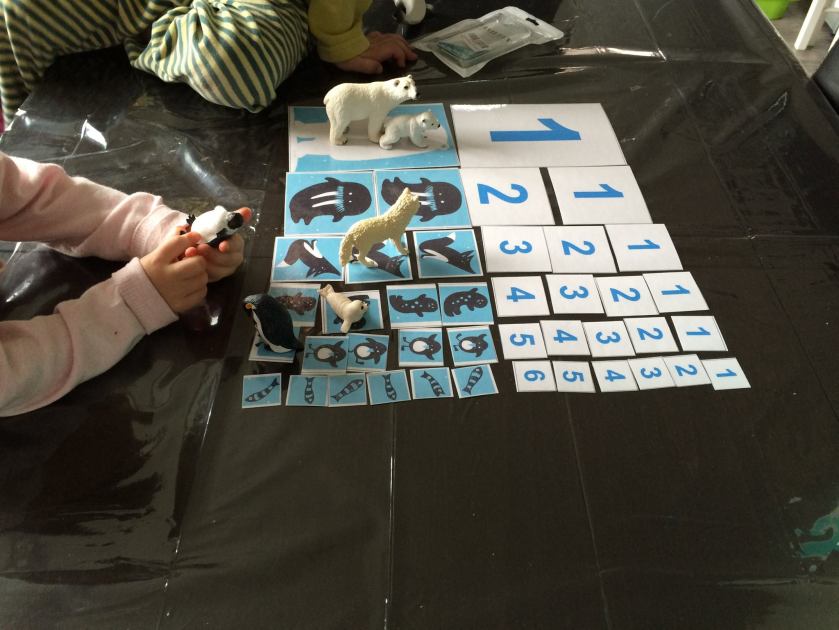 12977158_847977181995219_2669533593305861658_o